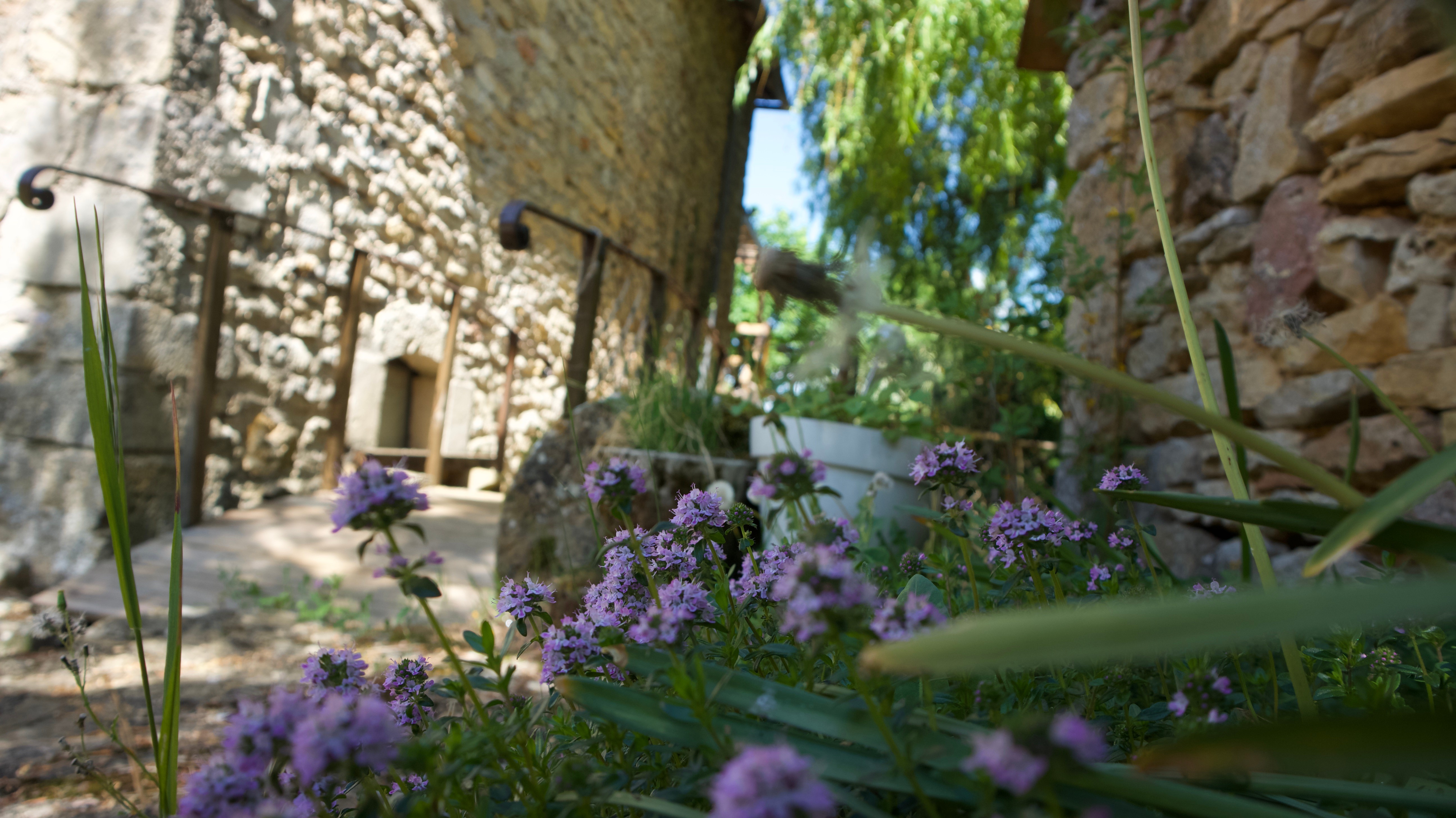 Photo n° 8 de la location
