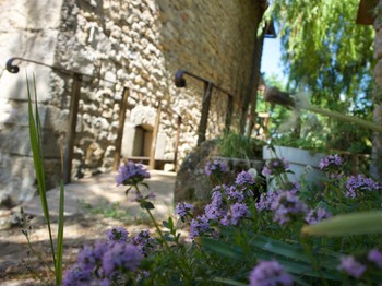 Photo n° 8 de la location