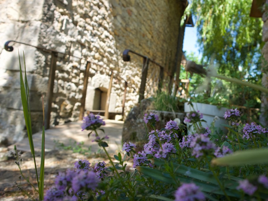 Photo n° 8 de la location
