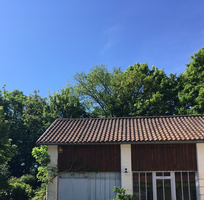 La vue du jardin