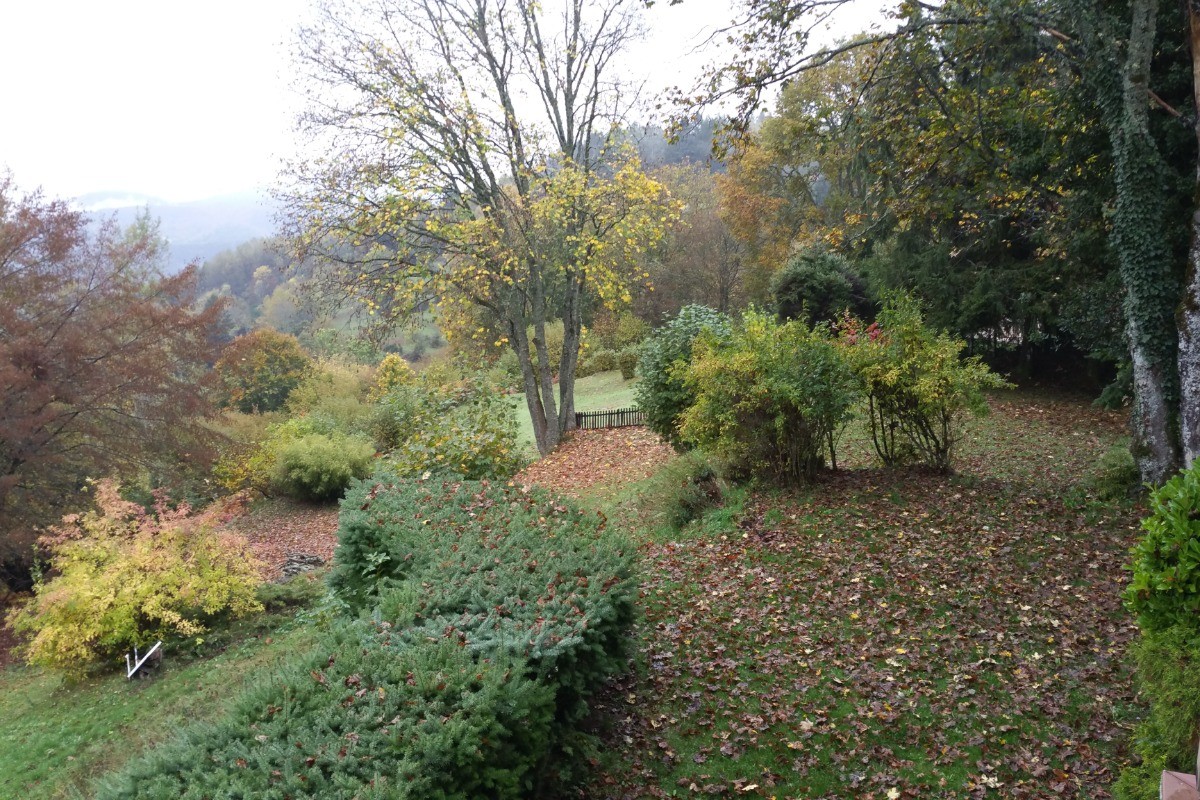 Automne sous la maison-04