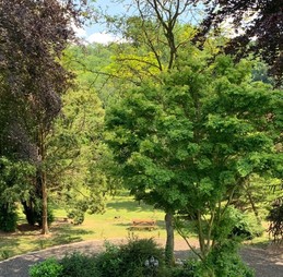 Vue sur le Parc - Le Manoir de mes Rêves à Heuchin