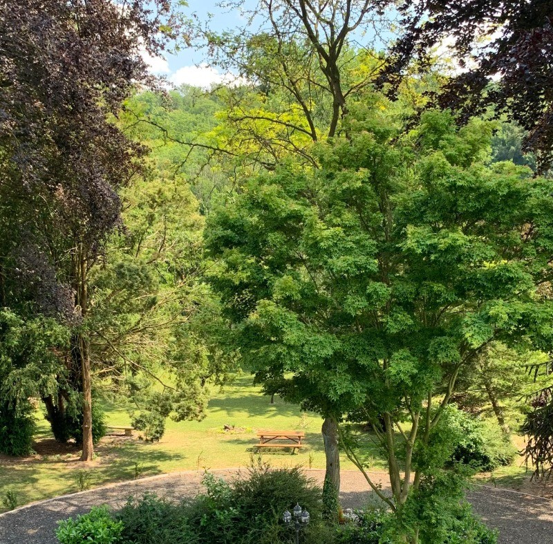 Vue sur le Parc - Le Manoir de mes Rêves à Heuchin