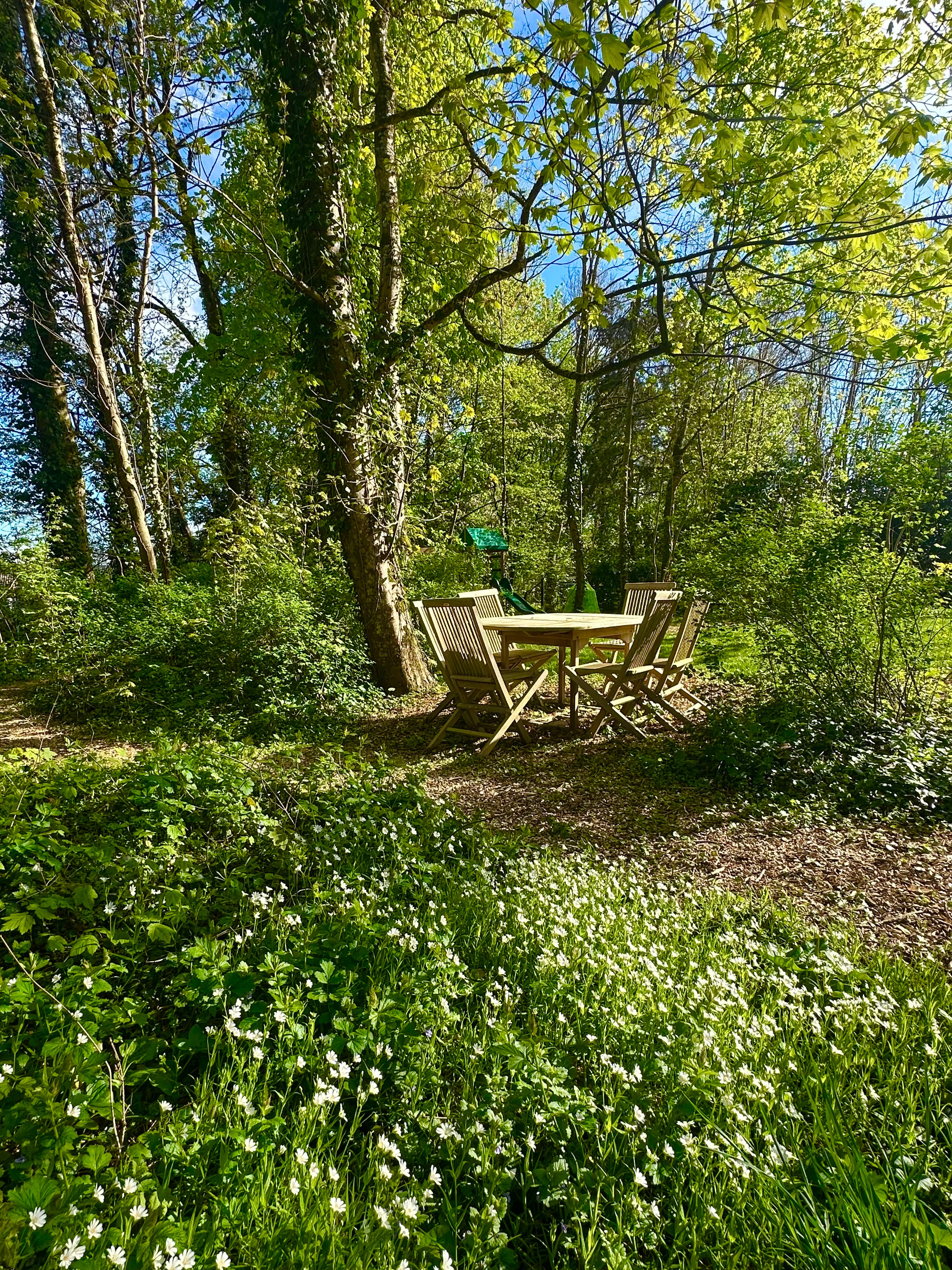 Coin de repas dans le jardin