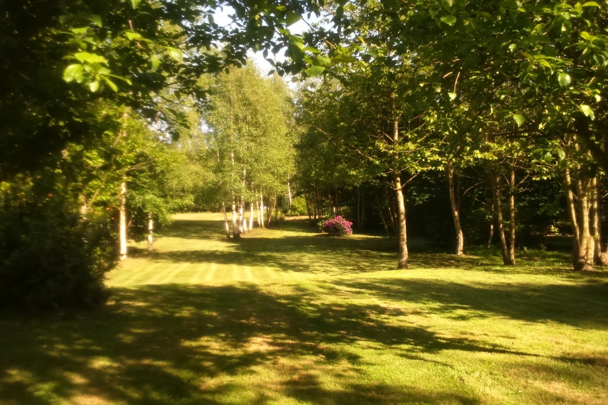 Photo n° 8 de la location