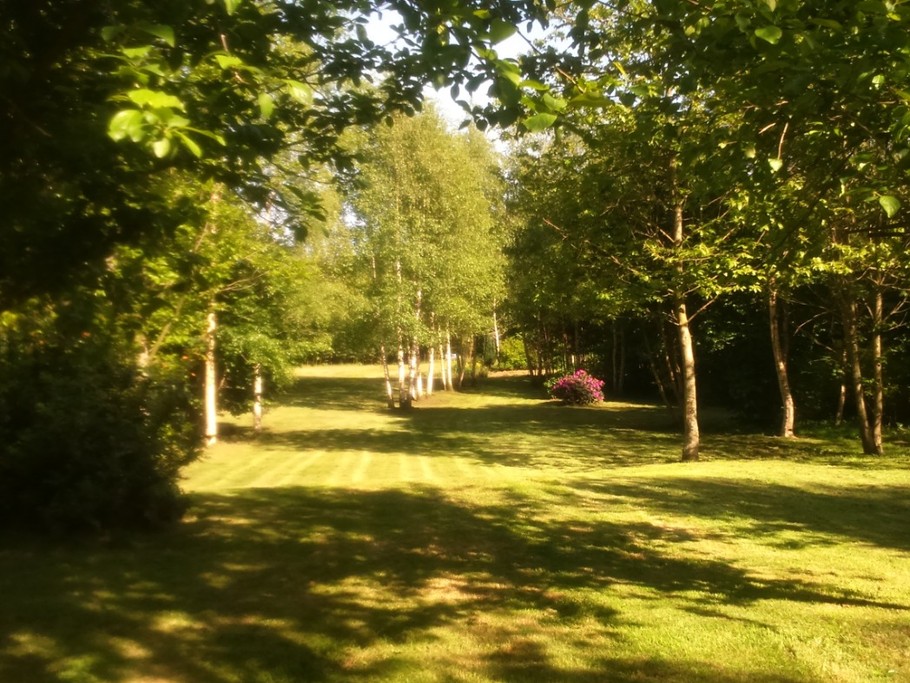 Photo n° 8 de la location