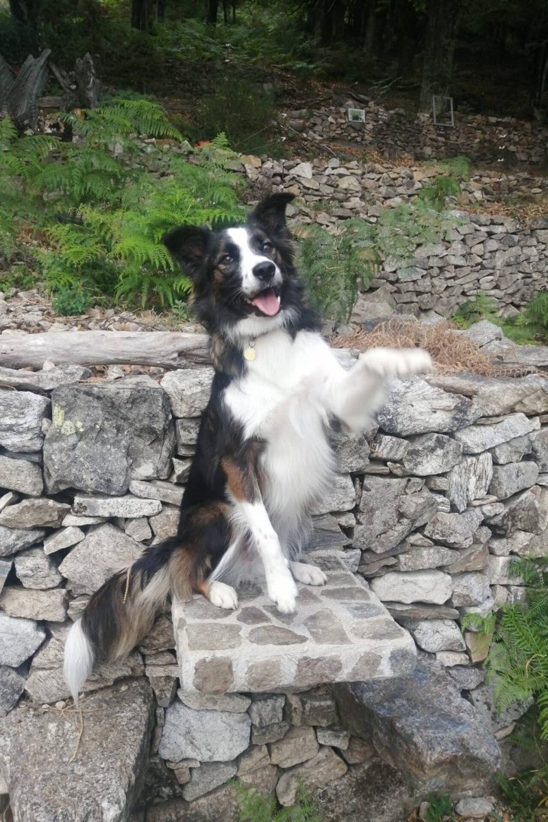 Willow vous attends! (Photo prise au Ron des fades)