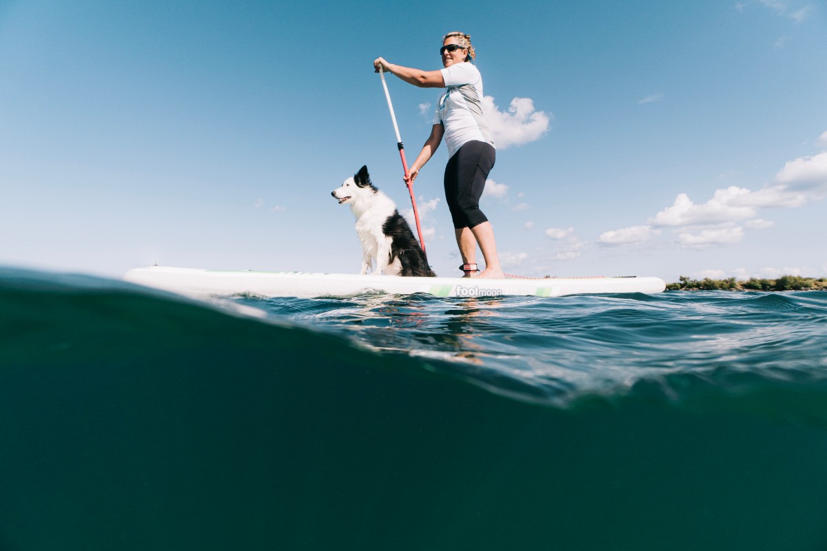 Photo n° 9 de la location