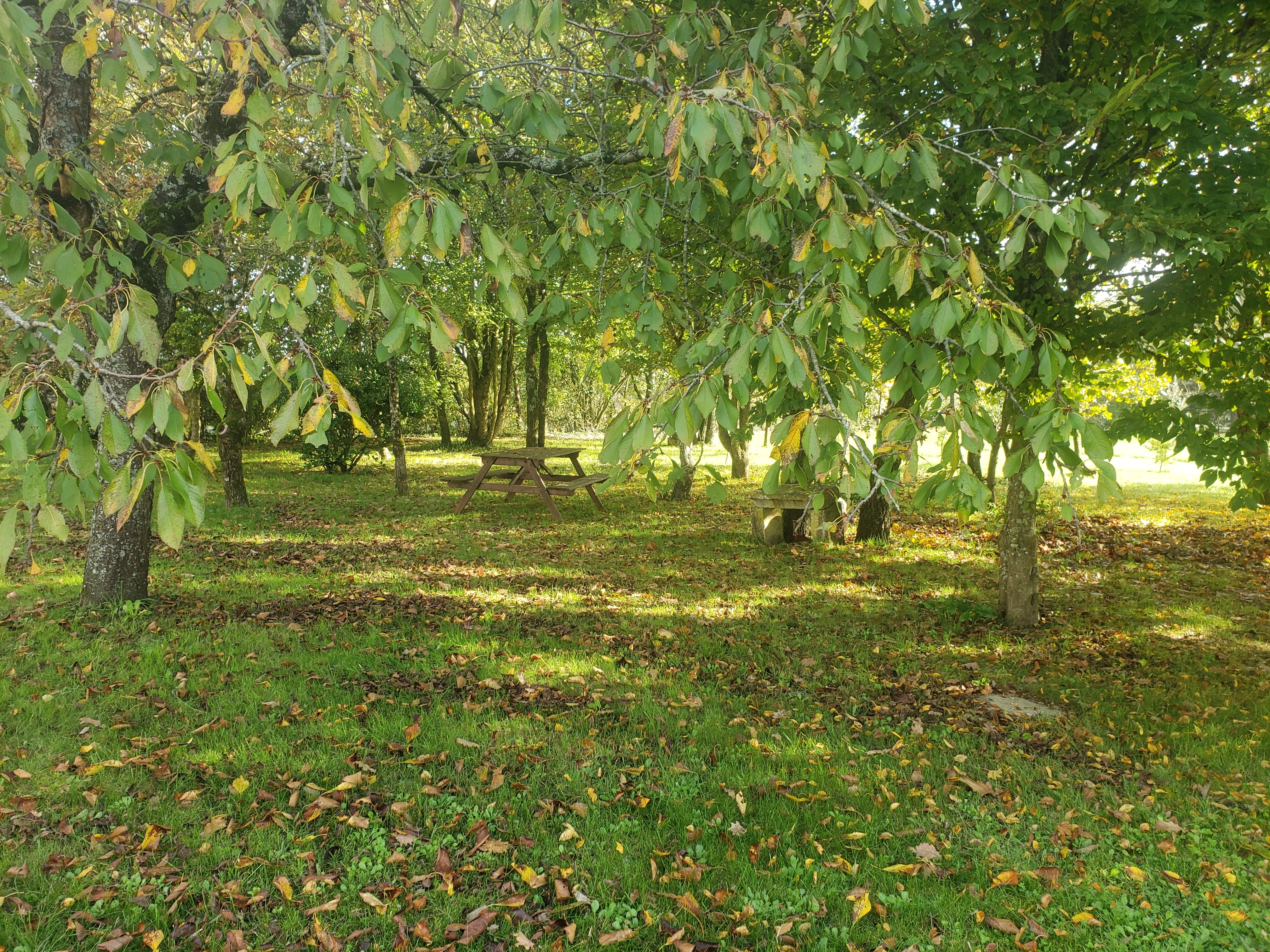 Photo n° 18 of the location