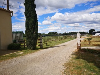 Photo n° 9 of the location