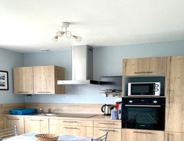 Pièce de vie avec coin cuisine aménagée et bien équipée, coin salon avec canapé convertible et TV.