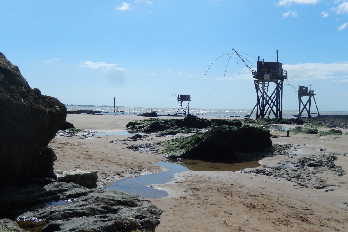 Pêcheries Tharon