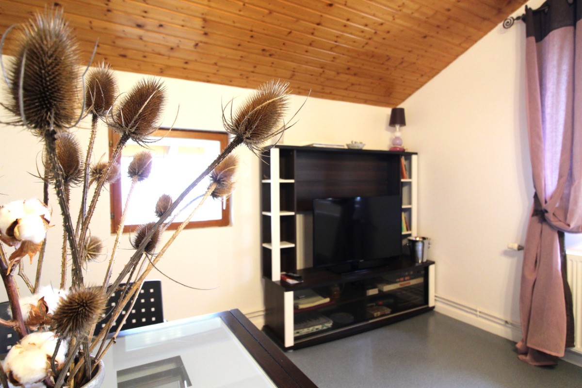 Pièce à vivre côté salon