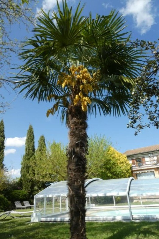 Photo n° 20 of the location