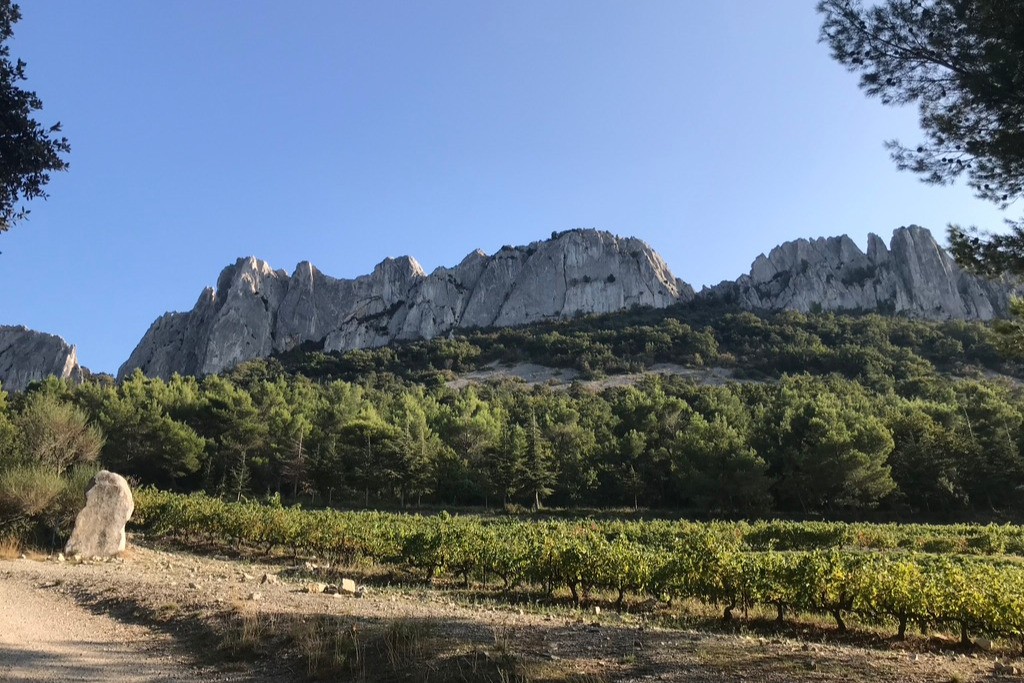 Les Dentelles de Montmirail à 10 km