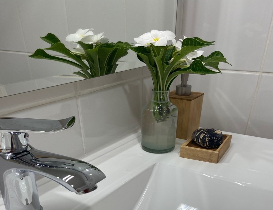 Photo n° 17 de la location