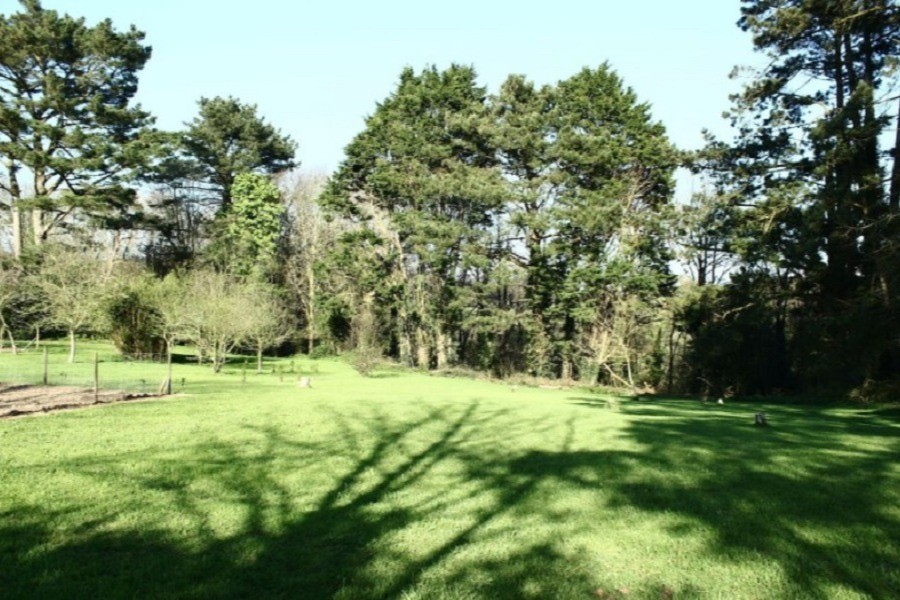 Grand jardin arboré
