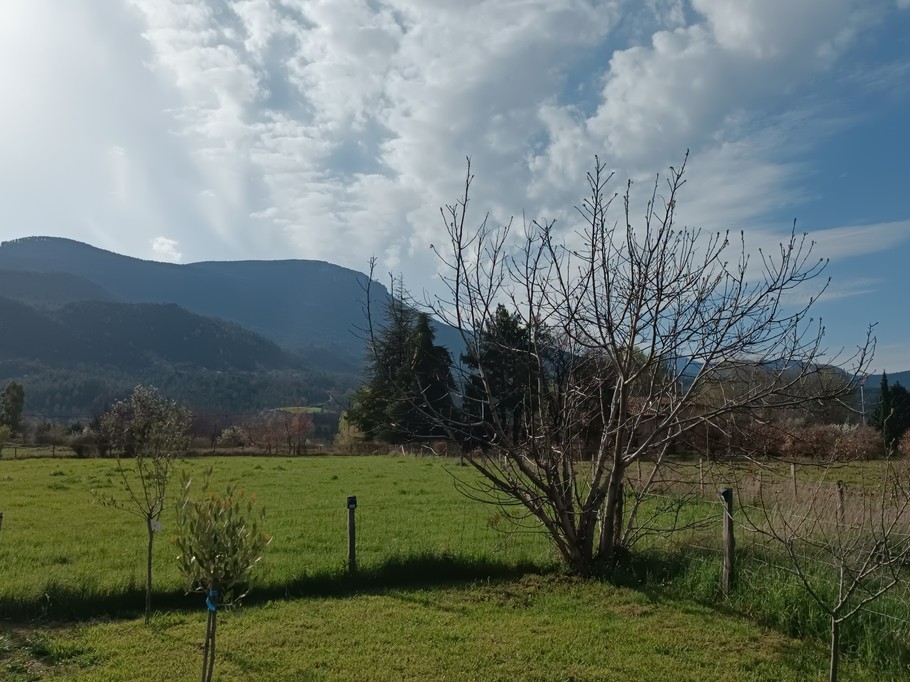 Gîte les Pruniers (Mézel, Provence)