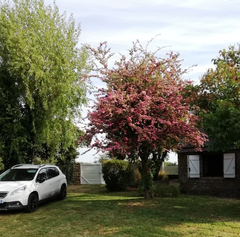 Photo n° 17 of the location