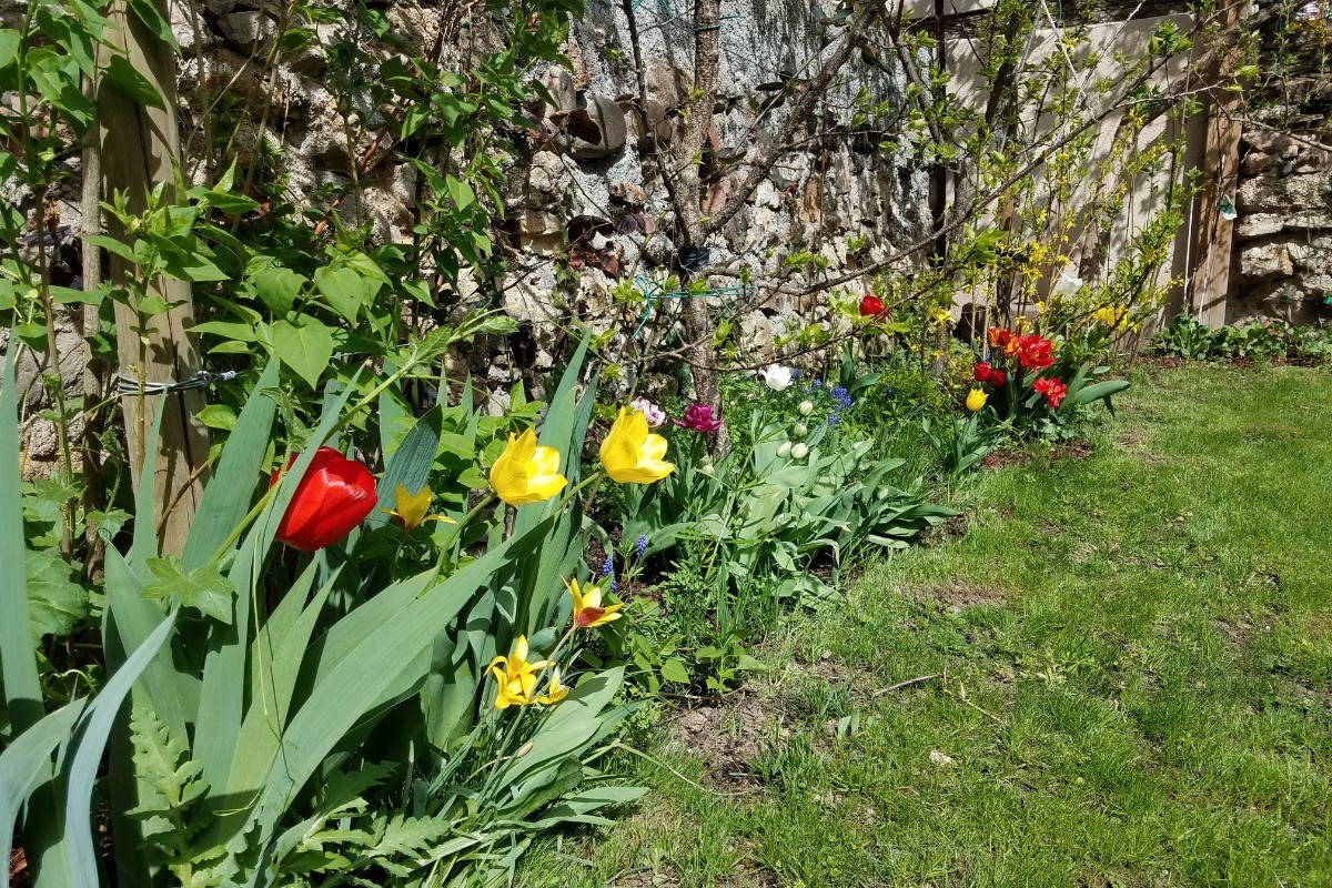 Photo n° 11 of the location