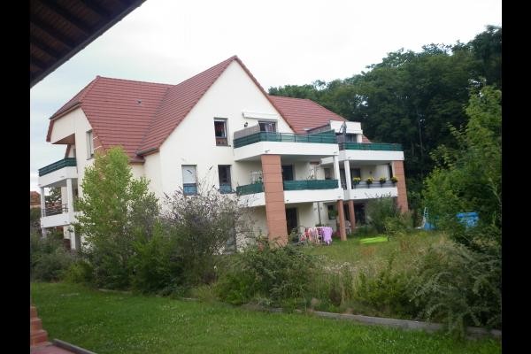 Photo n° 14 de la location