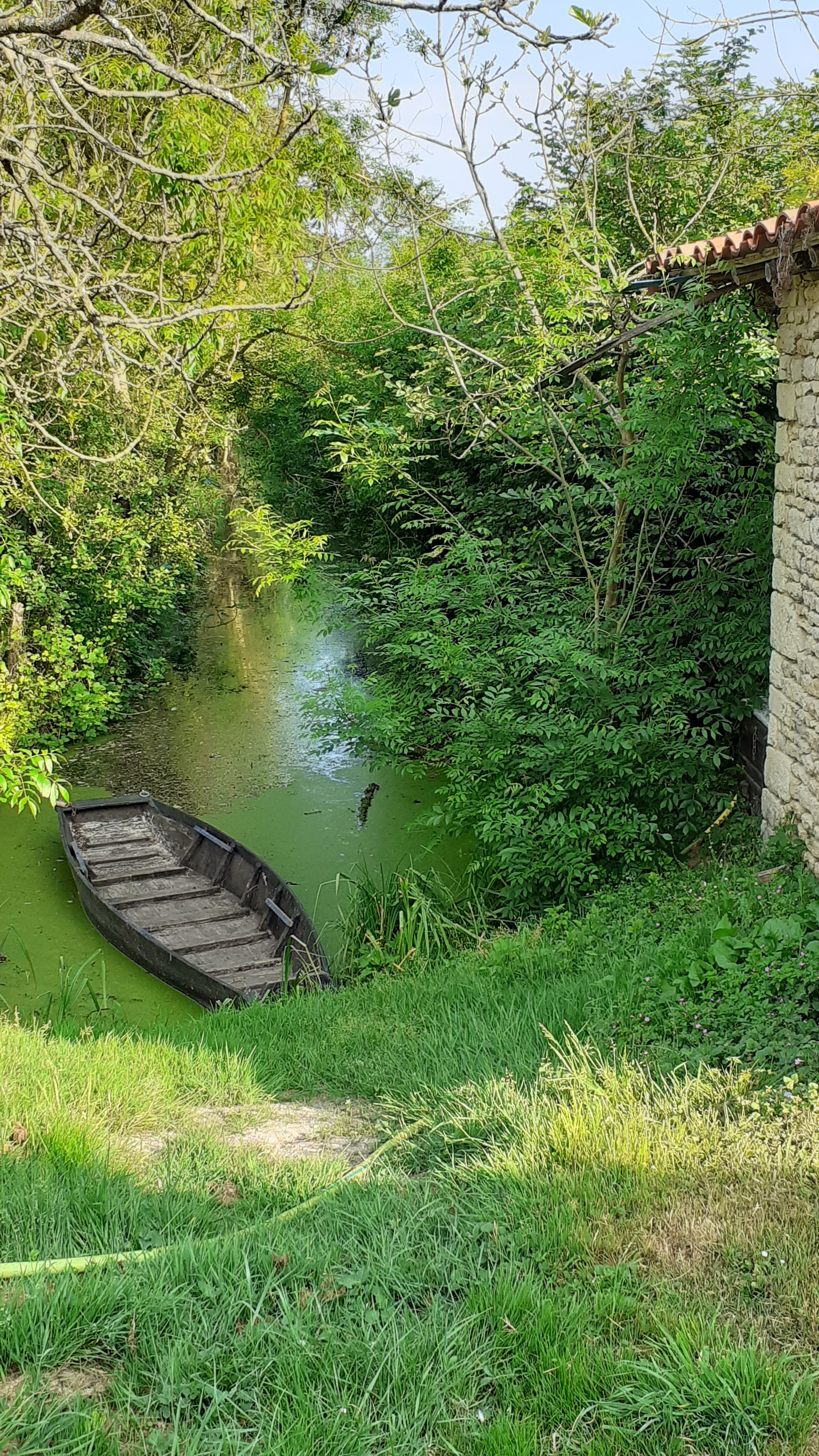 Photo n° 13 of the location