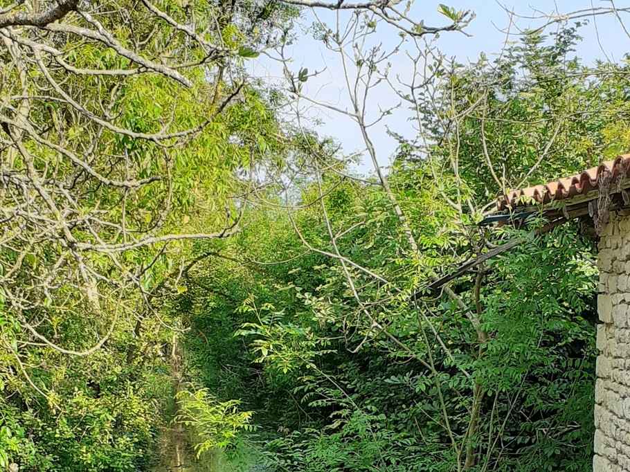 Photo n° 19 de la location