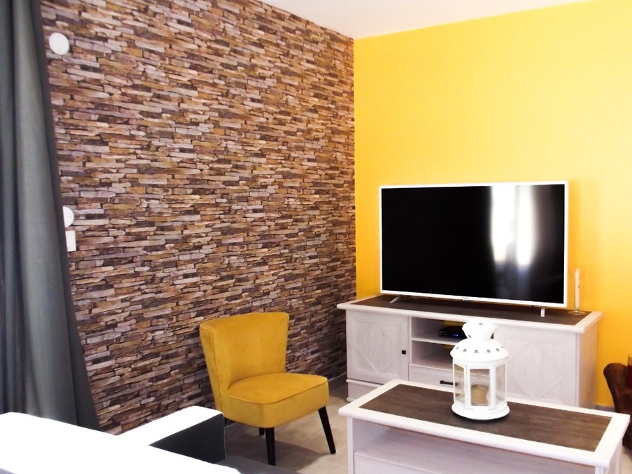 salon avec TV écran plat