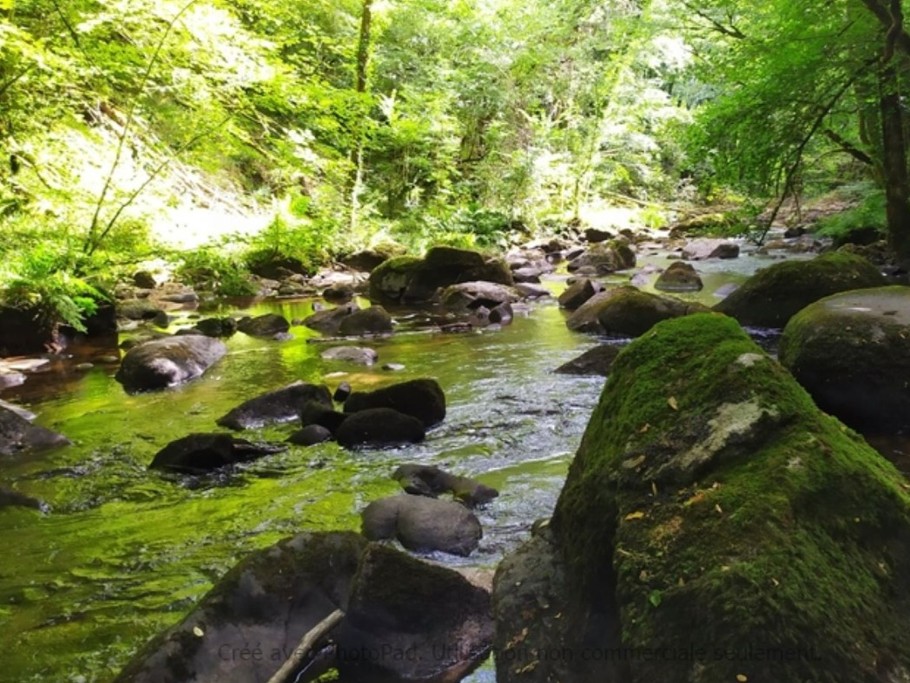 La nature aux environs