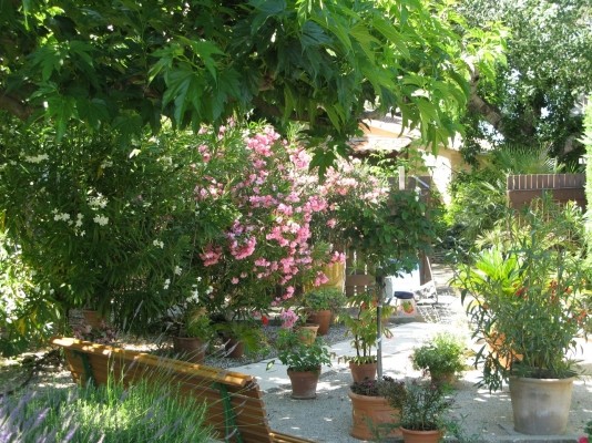 Photo n° 10 de la location