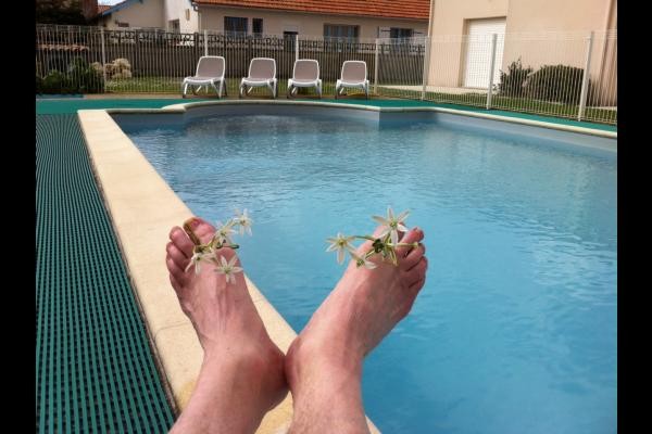 La piscine sécurisée et chauffée, Les Trémières à Bourcefranc-le-Chapus en Charente maritime