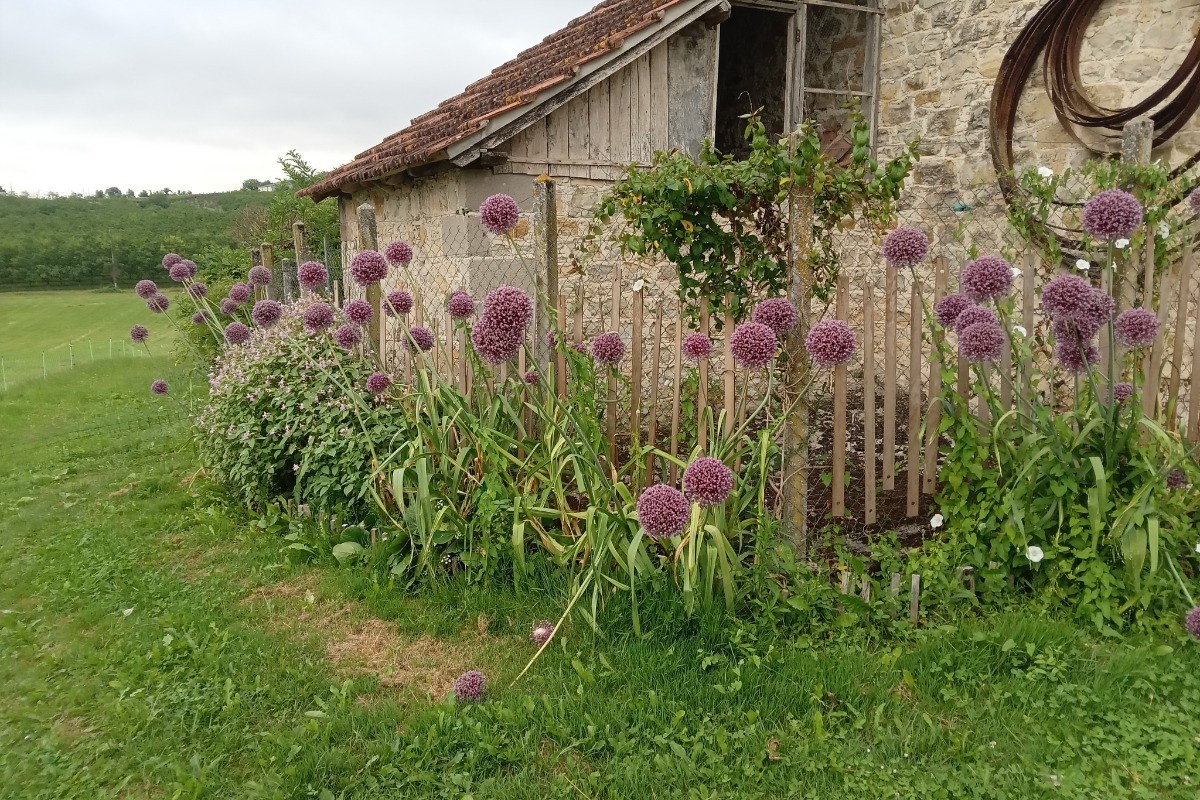 un bout de jardin