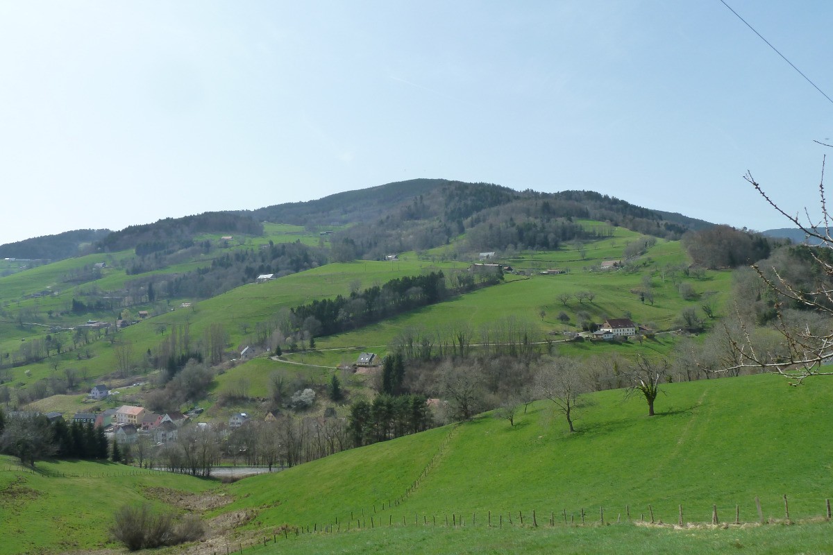 Photo n° 20 de la location