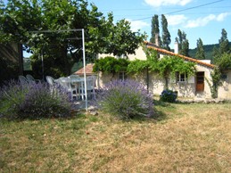 Vue du gîte