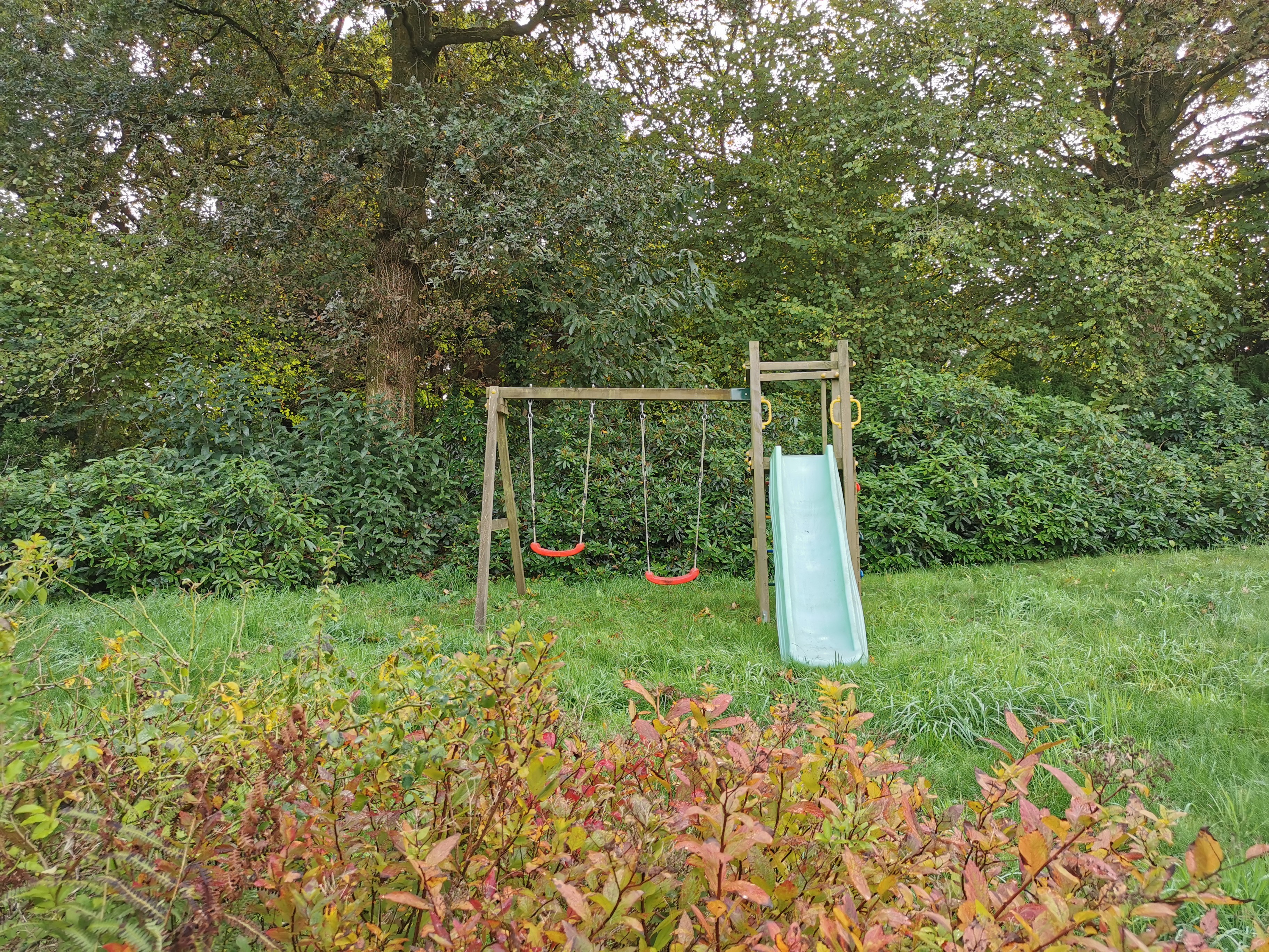 jardin avec balançoire - toboggan