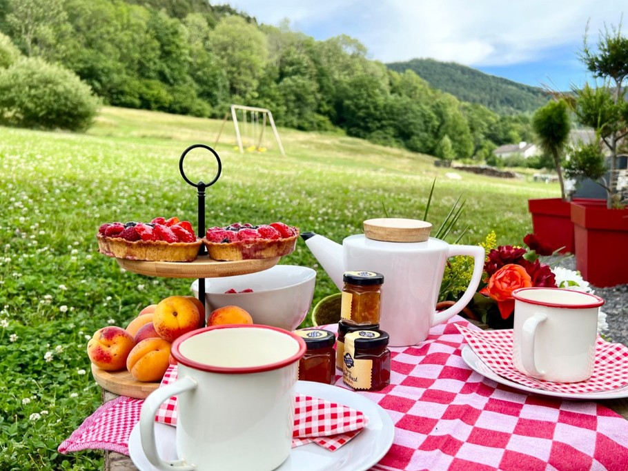Moment de détente dans la nature, au calme, à quelques minutes seulement de Gerardmer- Au gîte des Mazes