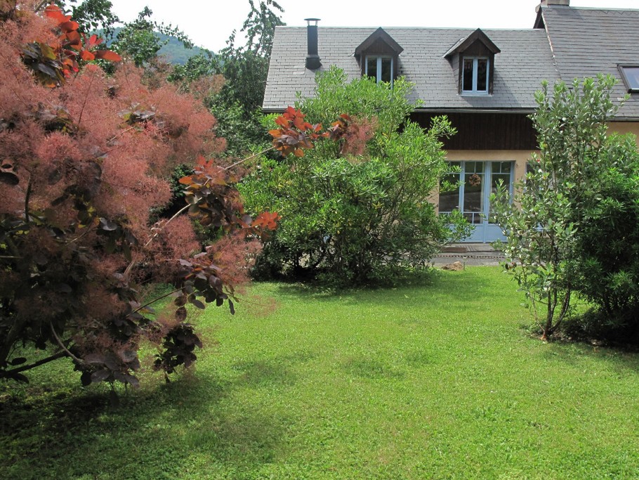 Aster des Pyrénées - Façade - Jardin