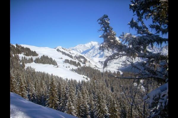 Photo n° 15 de la location