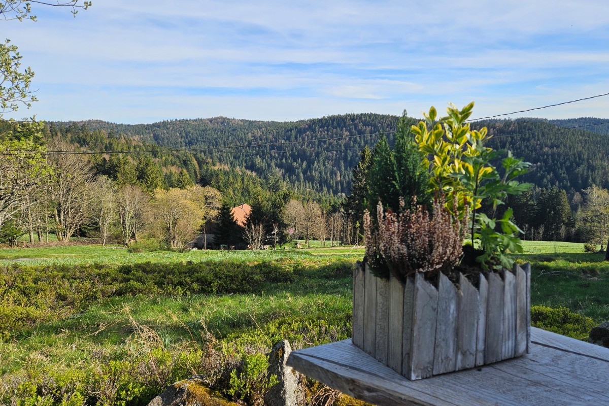 Vue imprenable sur les montagnes