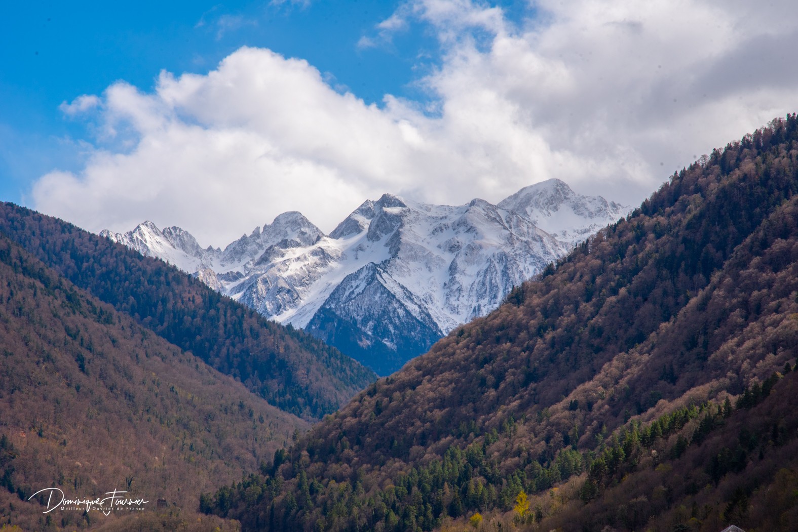 Photo n° 16 de la location