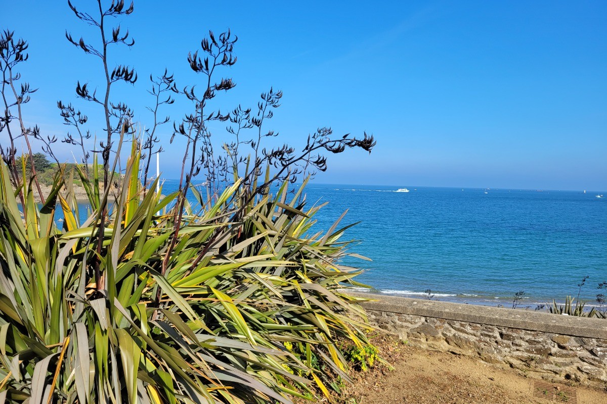 Photo n° 19 de la location