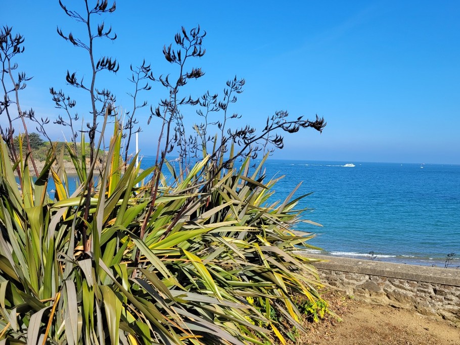 Photo n° 19 de la location