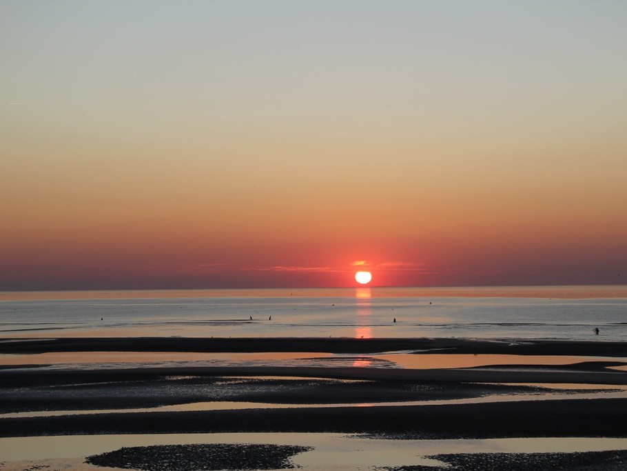 Photo n° 9 of the location