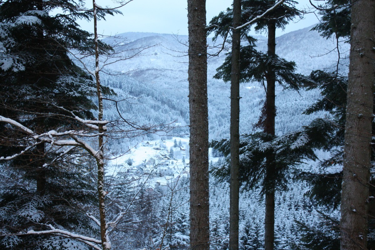 Photo n° 6 de la location
