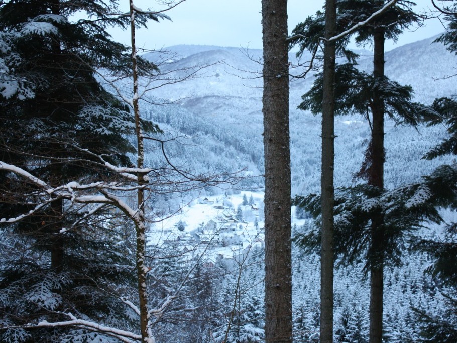 Photo n° 6 of the location