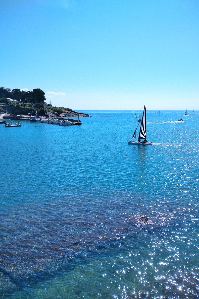 Pornic et ses voiliers