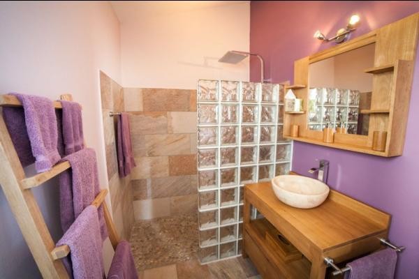 la salle d'eau attenante