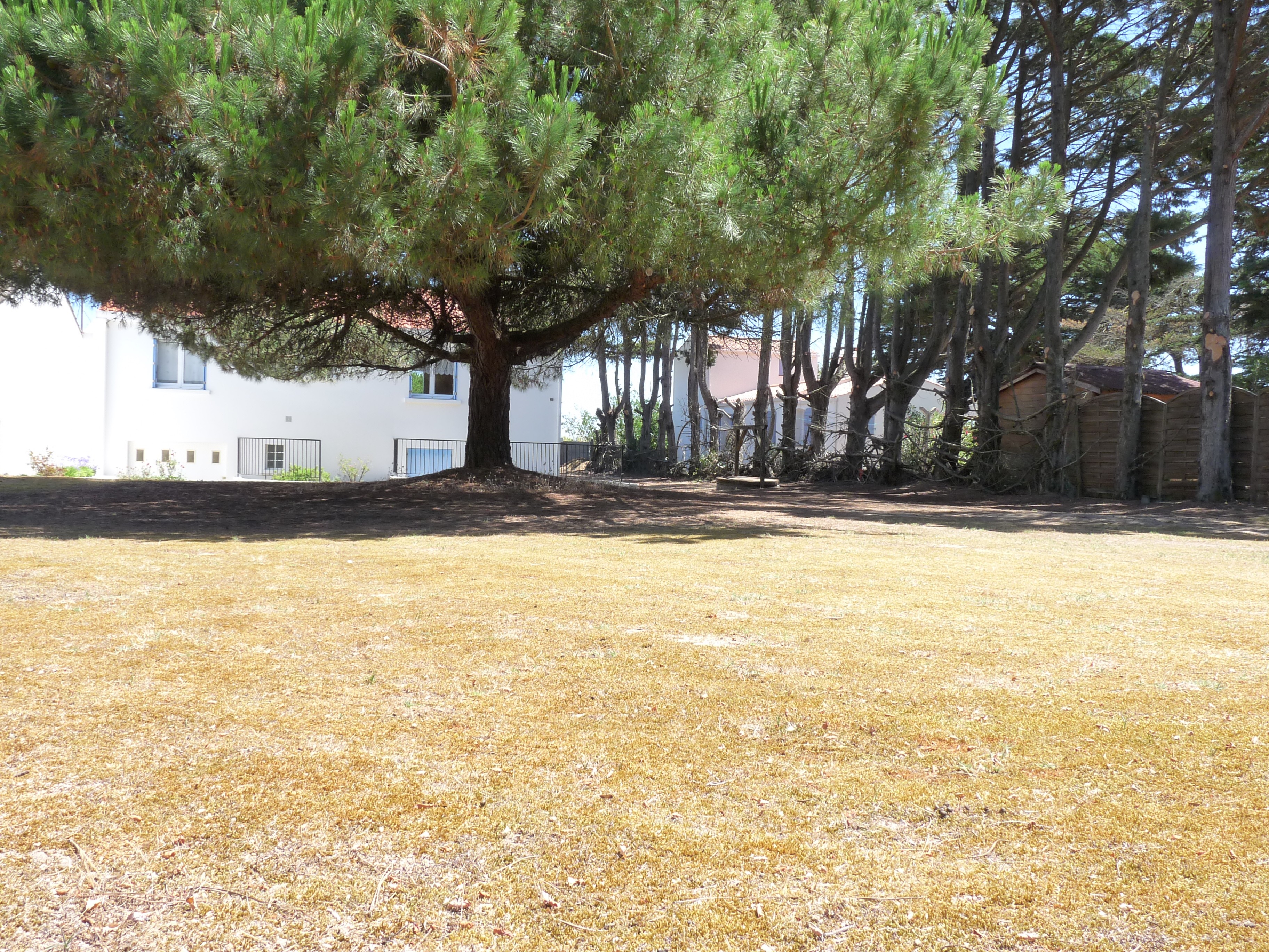 Landscaped plot