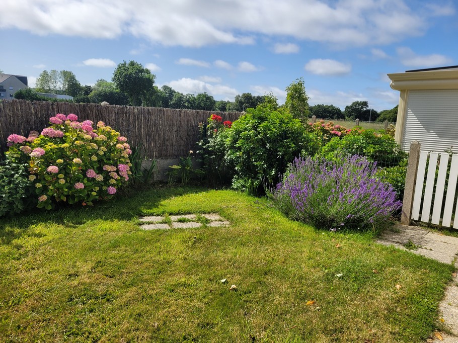 Location de vacances Paimpol, Clévacances, vue extérieure avec jardinet