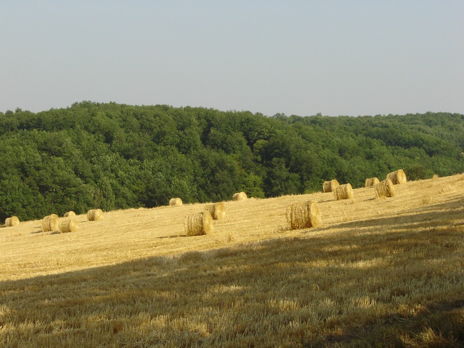 Tarn Occitanie, campagne avoisinante